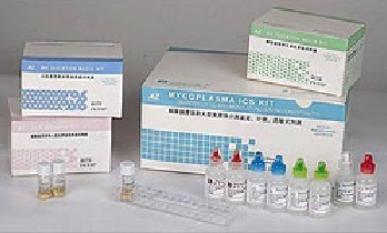 人乙型肝炎病毒X蛋白相互作用蛋白（HBXIP）ELISA试剂盒与核酸抗原检测试剂 原理、应用与选择指南